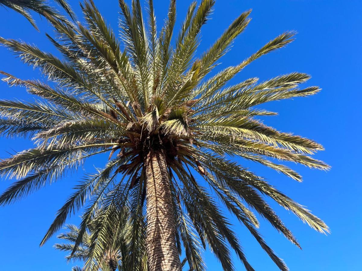 Fincasol San Sebastián de la Gomera エクステリア 写真